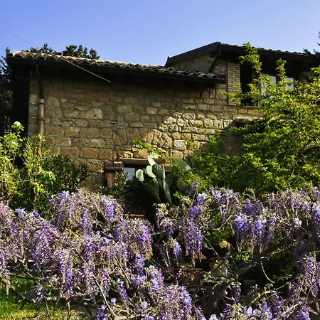 La Casa Sulla Collina D'oro 4* Piazza Armerina