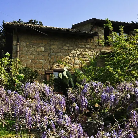 La Casa Sulla Collina D'oro 3*